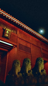 lion statues in front of a building at night